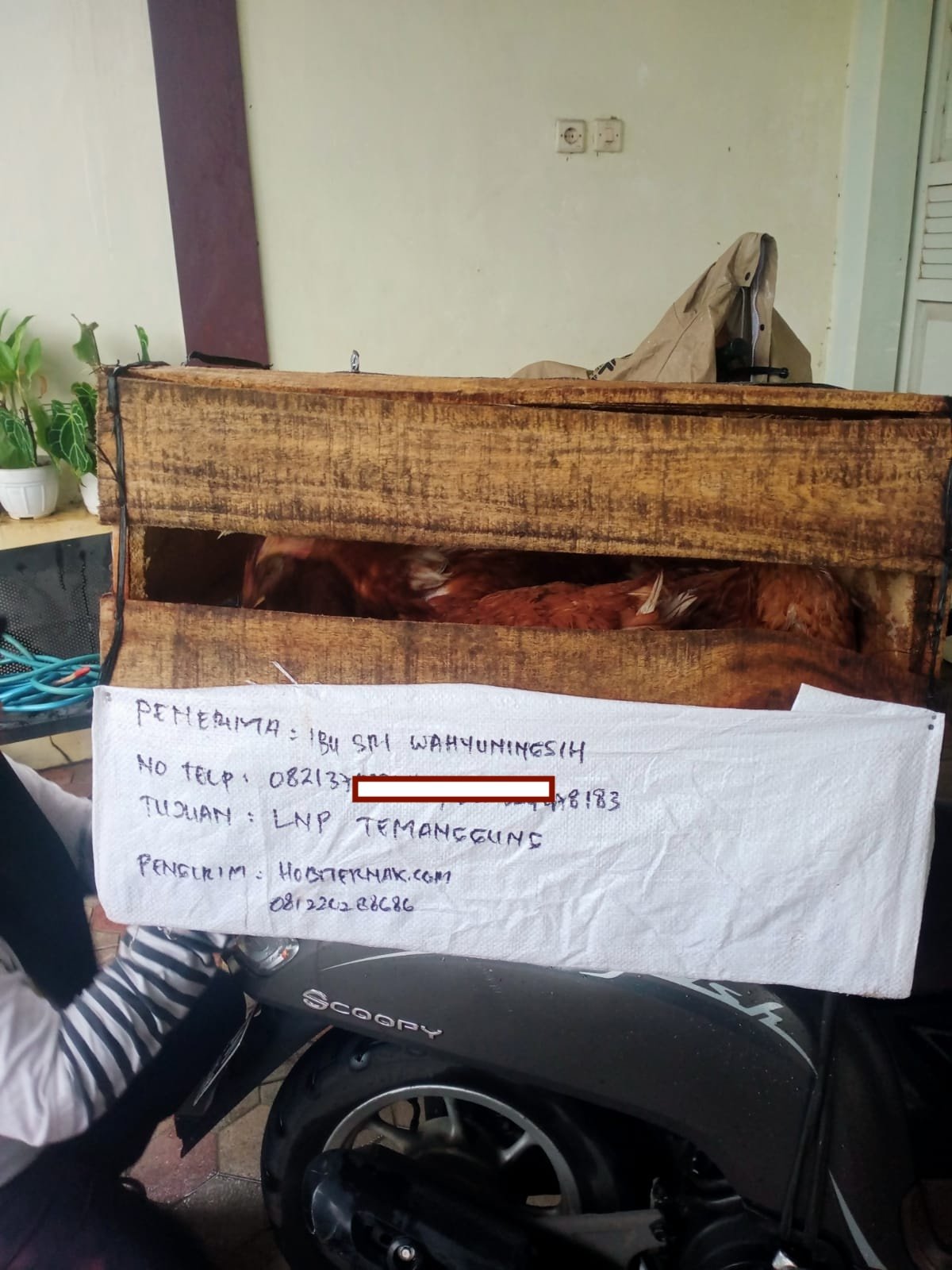 Testimoni Pelanggan Ternakhias