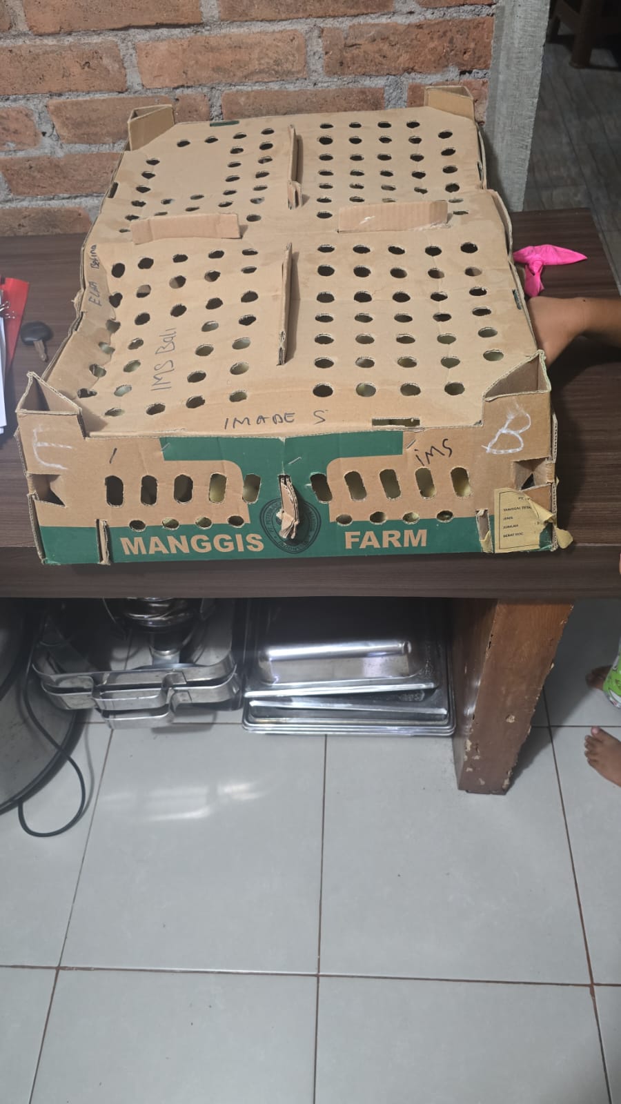 Testimoni Pelanggan Ternakhias