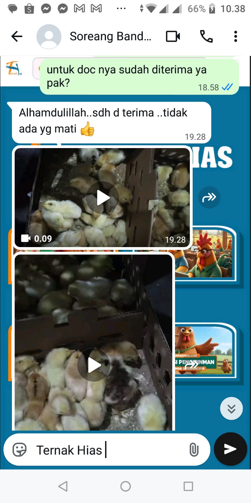 Testimoni Pelanggan Ternakhias
