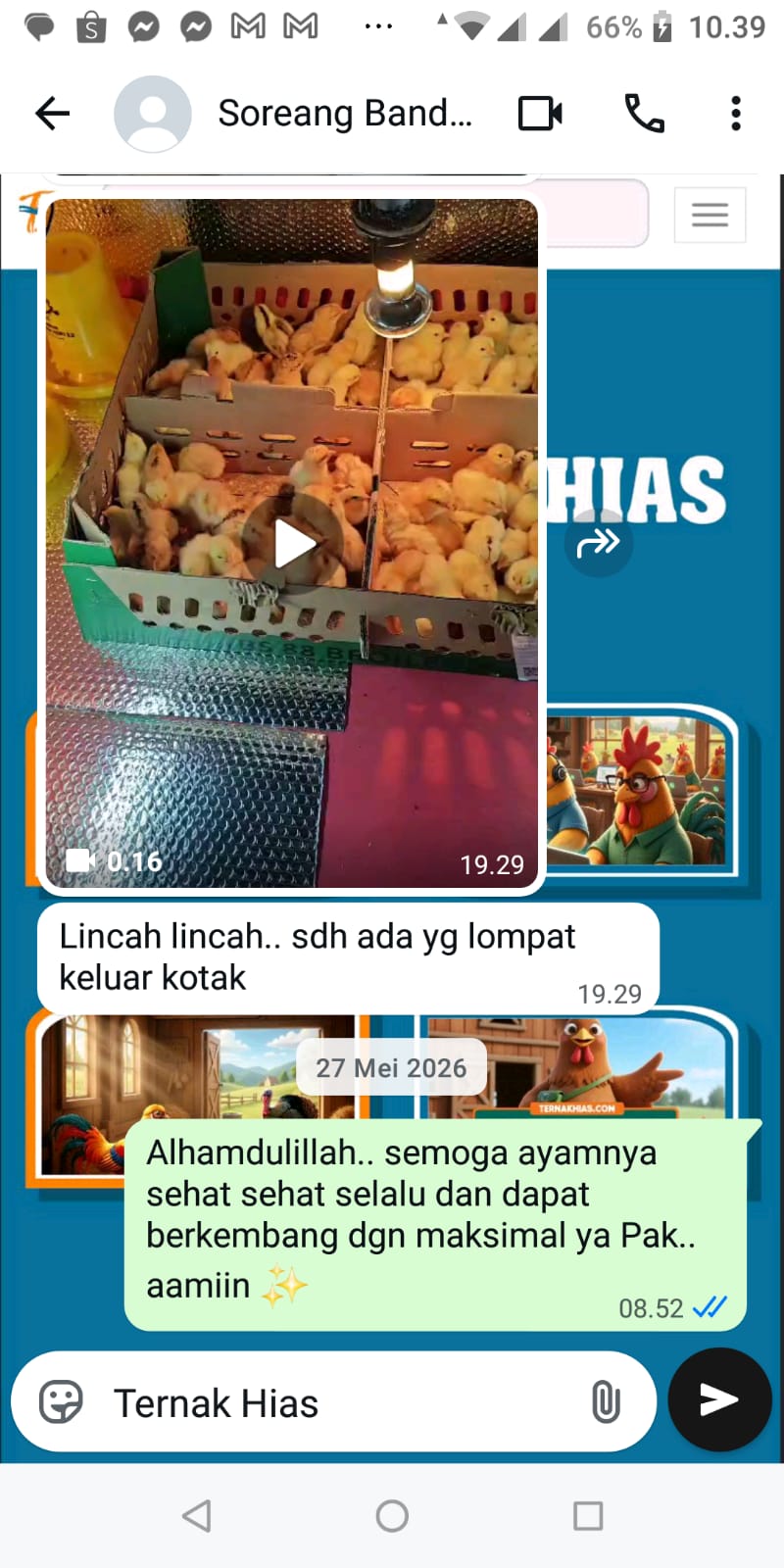 Testimoni Pelanggan Ternakhias