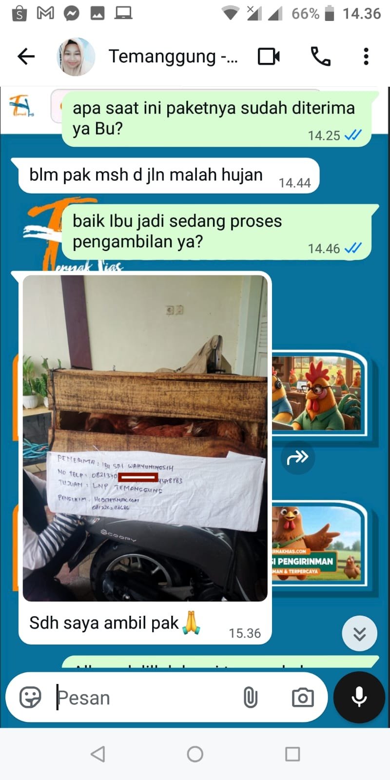 Testimoni Pelanggan Ternakhias