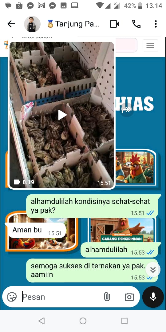Testimoni Pelanggan Ternakhias