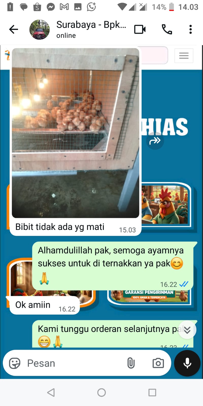 Testimoni Pelanggan Ternakhias