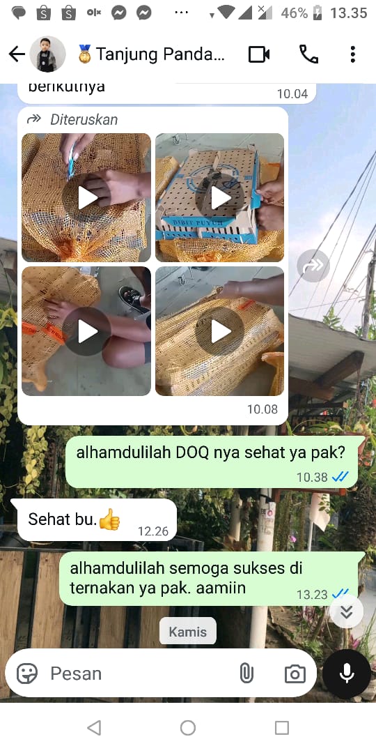 Testimoni Pelanggan Ternakhias