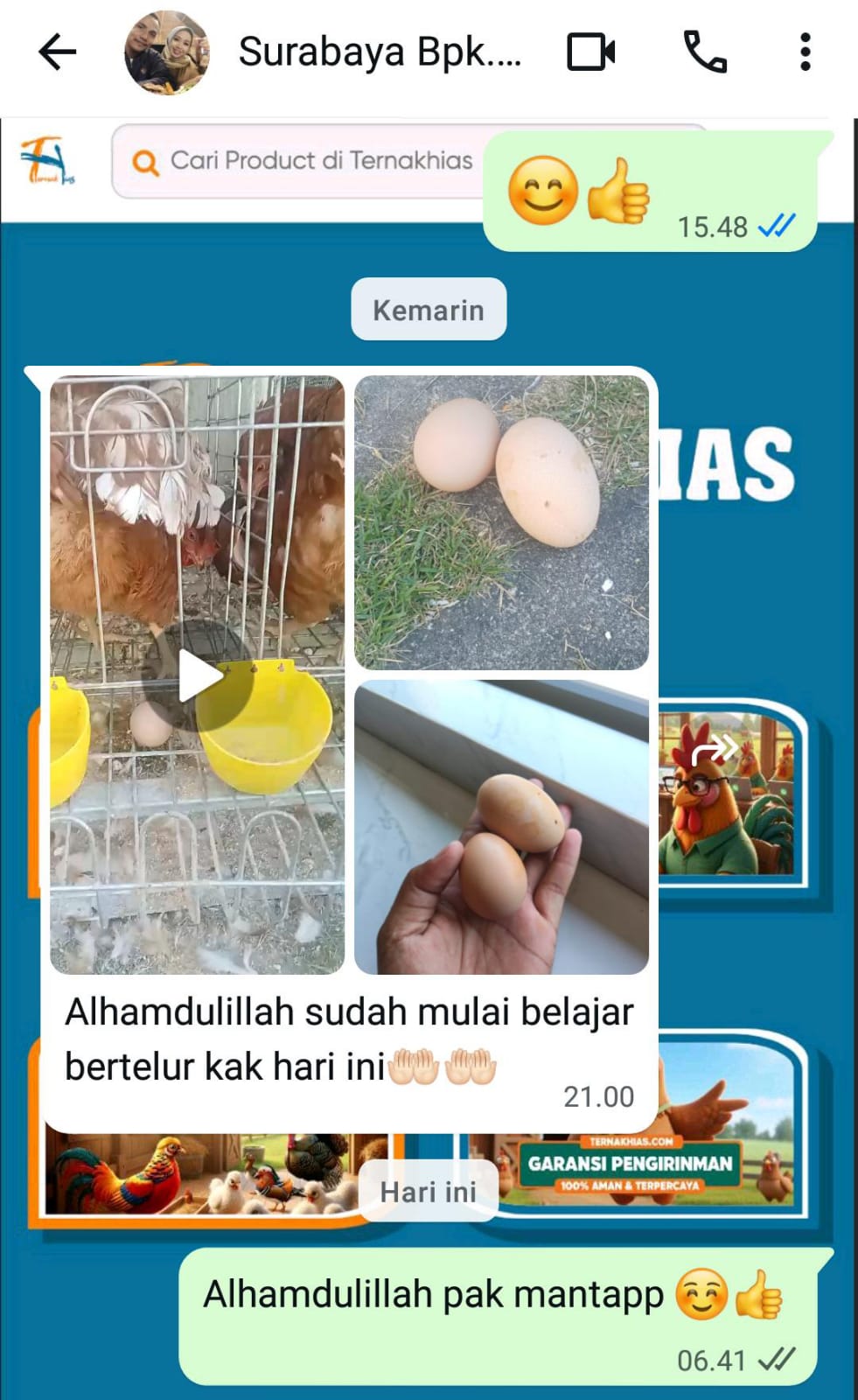 Testimoni Pelanggan Ternakhias