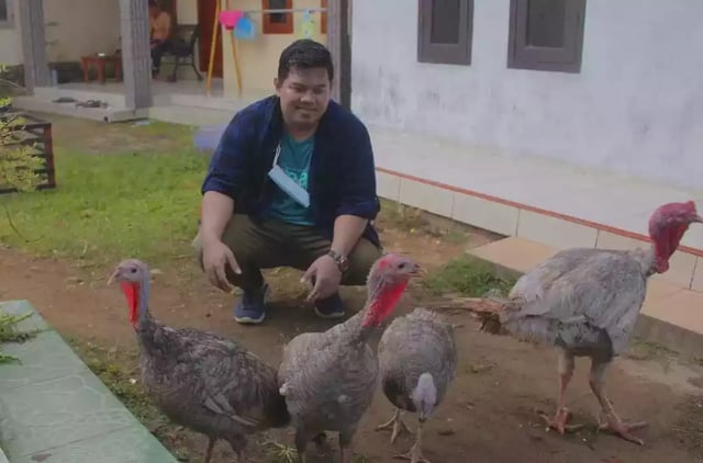 Kalkun Blue Slate Indukan