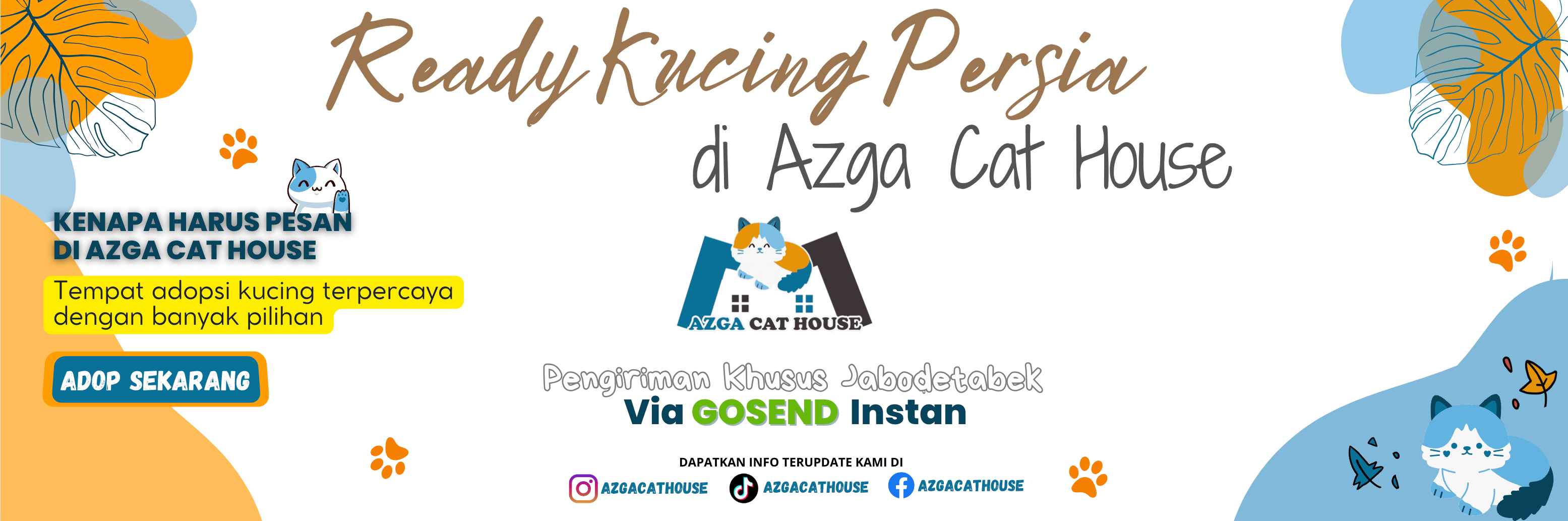 banner-azgacathouse