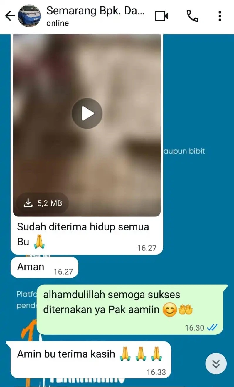 customer review