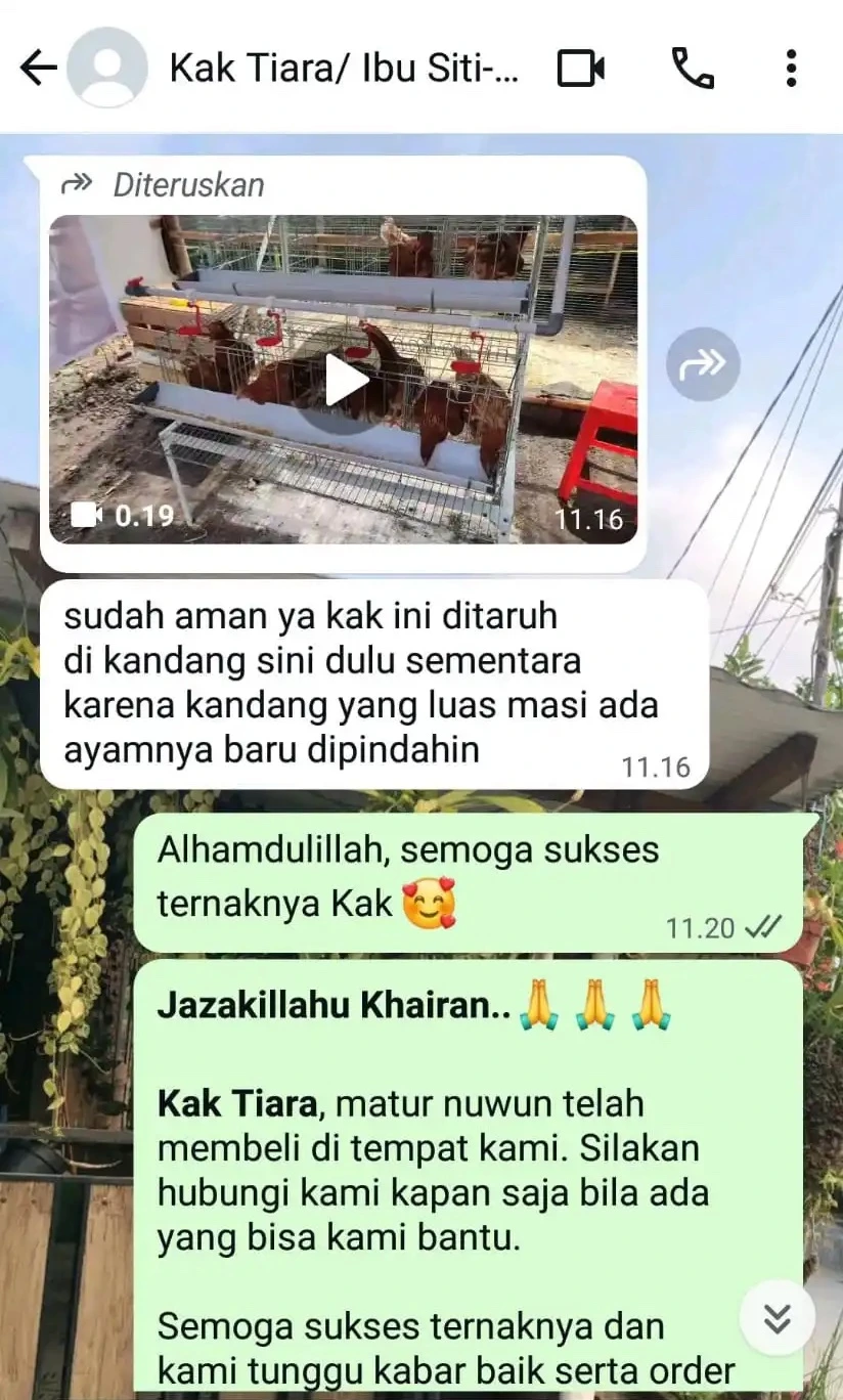 customer review