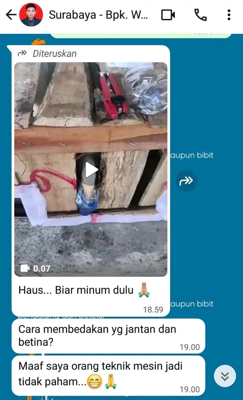 customer review