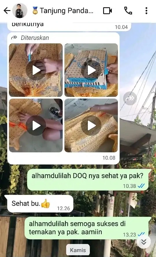 customer review