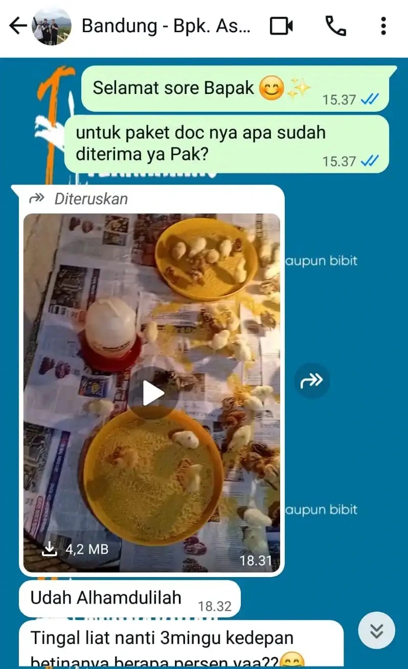 customer review