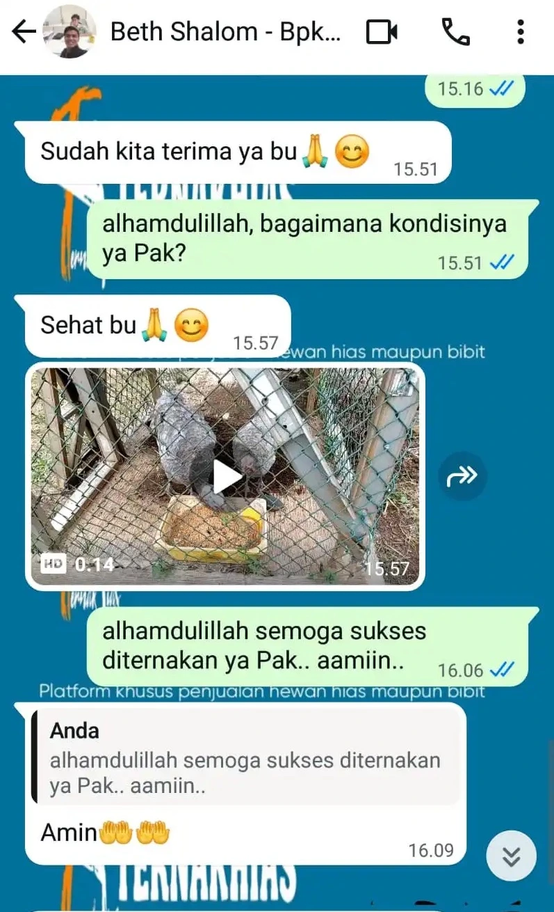 customer review