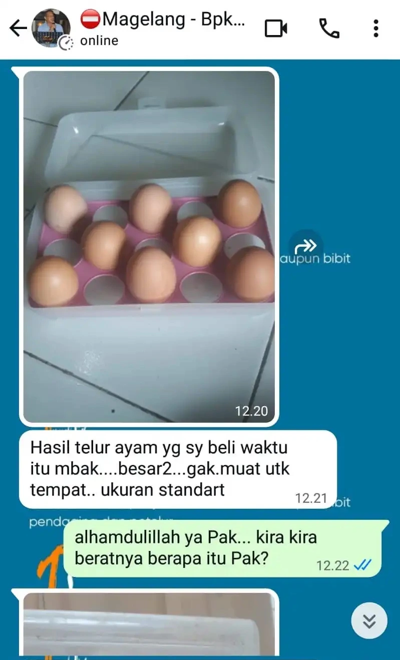 customer review